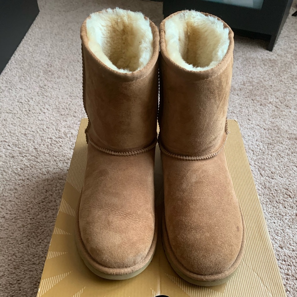 Chestnut UGG